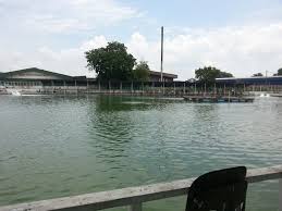 Pancing2u Blogspot Com Kolam Pancing Sealion No 2 10 08 2013