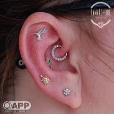 fresh high lobe with a wee turtle from bvla to compliment the healed conches daith and flat all by me jewe cool piercings double ear piercings ear piercings