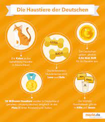 Etwa 9.000 menschen stehen in deutschland auf der warteliste für ein spenderorgan. Die Beliebtesten Haustiere In Deutschland Markt De