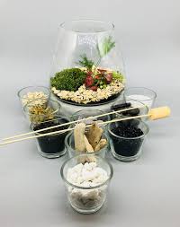Terrarium Kit With Glass Container With Concrete Base Diy Terrariums Kits Open Terrariums Cactus Diy