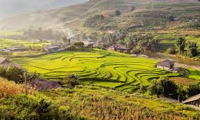 We offer luxury buses with 28 soft seats and 38 soft beds that are very comfortable and spacious. A Guide To Trekking In Sapa Vietnam Wandering Wheatleys