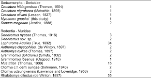 Image result for Anthospermum whyteanum