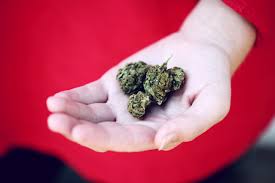 These doctors recommend medical marijuana to patients with a qualifying condition that allow access to legal cannabis products. Find Medical Marijuana Dispensary Near Me Moberly Mo Elevate Holistics