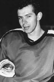 Registre des internationaux de hockey sur glace