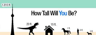 Check spelling or type a new query. How Tall Will I Get The Predictive Height Calculator Home Facebook