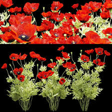 Field Poppy 3d Model 3d Model Poppies Flower Field
