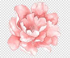 More images for transparent pink flowers » Transparent Pink Watercolor Flowers Novocom Top