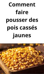Comment Faire Pousser Des Pois Casses Jaunes Pois Casses Pois Comment Faire