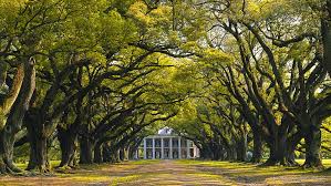 Collection by jason draper • last updated 11 weeks ago. Hd Wallpaper Oak Plantation New Orleans Louisiana Architecture Wallpaper Flare