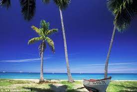 Beyond Barbados Superior To St Lucia St Kitts Is A Caribbean Jewel Cruise Holidays Caribbean Holidays Barbados Beaches