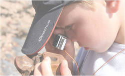 Fossil Hunt