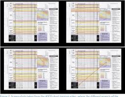 pdf recording patient data on six observation charts an