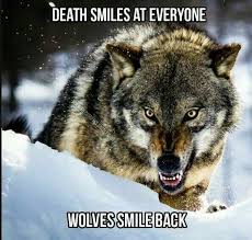 You Or Me Its On Like Donkey Kong Dont Sing It Bring It Wolf Quotes Lone Wolf Quotes Wolf Qoutes