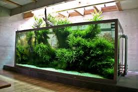 Photo Holding Website Paludarium Eaux Douces Aquarium