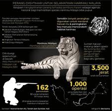 Harimau Malaya Mungkin Pupus Lima Ke 10 Tahun Lagi 10 Things Lima