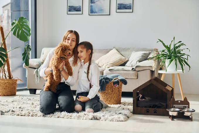 East Tampa Bay Indoor Air Quality Testing | National Property Inspections®