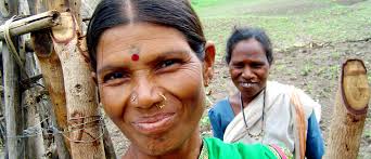 SUSTAINABLE COTTON RANKING 2017