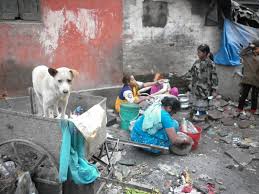 Paradox on plate! | apple-crumb.afterthought