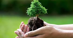 Geleceğe nefes ile ilgili 7 haber listeleniyor. Fidan Dikme Kampanyasi Gelecege Nefes Ol A Buyuk Ilgi Gelecege Nefes Te Hedef Simdiden Asildi Gundem Haberleri