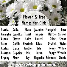What Are Your Favorite Flower Or Tree Names For Girls Babynames Click To View An Even More Complete Lis Flower Names For Girls Girl Names Names With Meaning