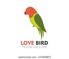 Google has many special features to help you find exactly what you're looking for. 76 Gambar Burung Lovebird Kartun Paling Keren Gambar Pixabay