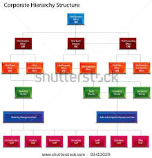 Blank Organizational Chart Hierarchy Structure Chart
