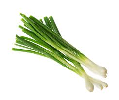 One of the over twelve hundred types of allium, or onions choosing quality green onions is not a difficult task. 105 866 Green Onions Photos Free Royalty Free Stock Photos From Dreamstime