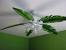 Bedroom Ceiling Fans Home Depot