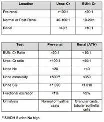 8 best bun creatinine ratio images bun creatinine