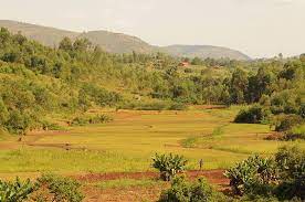 See more ideas about burundi, lake tanganyika, landlocked country. Kinderweltreise Ç€ Burundi Land