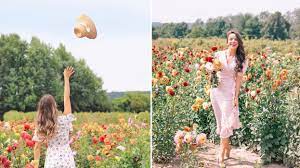 Pups come with a four year written guarantee for all major organs, hip dysplasia, elbow dysplasia and pra. Flower Farms Near Toronto You Need To Visit This Summer Narcity