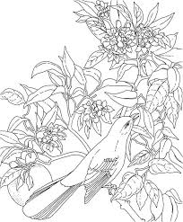 You can print out this hawaiian flower coloring page and have your child fill in the hawaiian flower … Hawaiian Flowers Coloring Pages Coloring Home