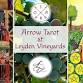 Tarot & Sip event in West Greenwich, RI