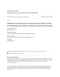 Image result for Brachystephanus holstii