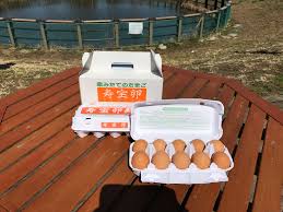 しらおか味彩センター