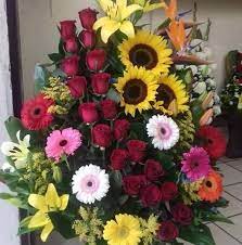 Check spelling or type a new query. Floreria Tella Home Facebook