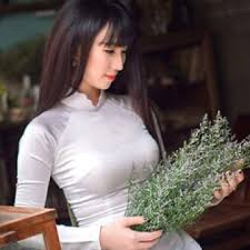 nhạc đam cưới lien khuc cha cha khong lời hay nhất 2018 nhạc đam cưới đam cưới nhạc trữ tinh