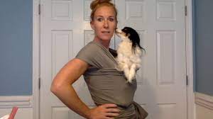 How To Put On Your Bobawrap For A Dog Youtube