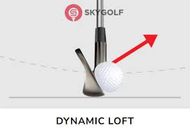 Giải Thích Dữ Liệu Phòng Golf Giả Lập: Hiểu Rõ và Ứng Dụng Trong Luyện Tập  Golf