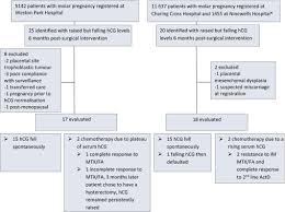 late spontaneous resolution of persistent molar pregnancy