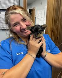 Words cannot express how excited we are to announce Abby's acceptance into  Veterinary Medicine at OSU starting this fall. We are so incredibly proud  of how hard Abby has worked to develop