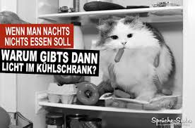 Lustige Spruche Essen Und Abnehmen Katze Im Kuhlschrank Spruche Suche Katze Lustig Diat Witze Katzen