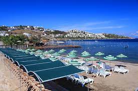 We recommend you to visit magi beach, brava bodrum and bistro4 by 4reasons that are located not far from the hotel. Club Cactus Fleur Beach Etstur Com