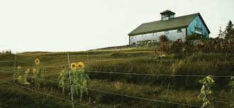 11 claridge close, leighton buzzard, england lu7 4tw. Mark Leighton Portland Me Morgan Stanley Wealth Management