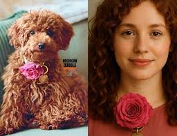 Michigan Doodle Rescue Connect