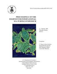 Download Seaturtle Org