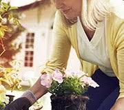 Whether you're looking to buy flowers and gifts like roses , orchids, gift baskets, bonsai trees, flowering plants or wedding bouquets, we have the highest quality blooms and the. Grieving The Loss Of A Pet Pet Sympathy Gifts 1800flowers Com