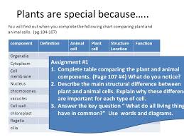 What Do All Living Things Have In Common Ppt Video Online