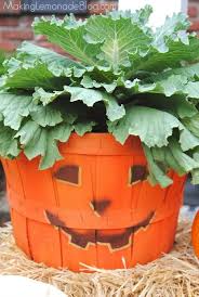 Fall Outdoor Decorating Ideas Bushel Basket Fall Outdoor Decor Fall Deco Fall Outdoor