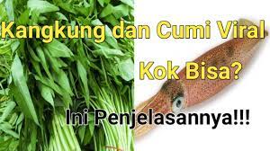 We did not find results for: Ada Apa Dengan Cumi Cumi Dan Kangkung Yang Viral 2021 Youtube
